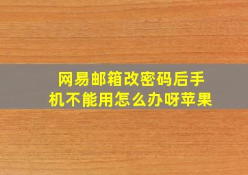 网易邮箱改密码后手机不能用怎么办呀苹果