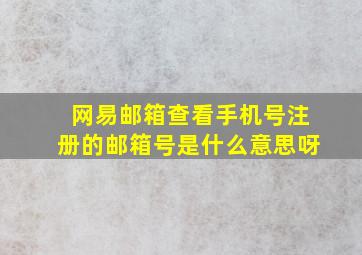 网易邮箱查看手机号注册的邮箱号是什么意思呀