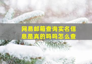 网易邮箱查询实名信息是真的吗吗怎么查