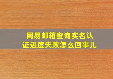 网易邮箱查询实名认证进度失败怎么回事儿