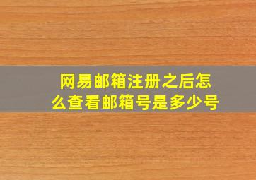 网易邮箱注册之后怎么查看邮箱号是多少号