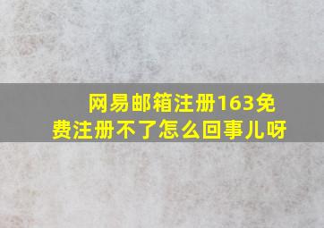 网易邮箱注册163免费注册不了怎么回事儿呀