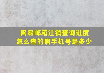 网易邮箱注销查询进度怎么查的啊手机号是多少