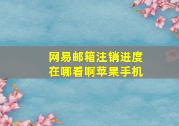 网易邮箱注销进度在哪看啊苹果手机