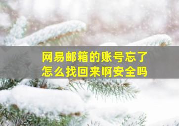 网易邮箱的账号忘了怎么找回来啊安全吗