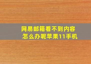 网易邮箱看不到内容怎么办呢苹果11手机