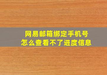 网易邮箱绑定手机号怎么查看不了进度信息