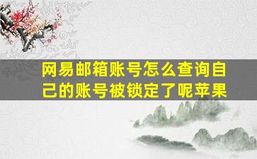 网易邮箱账号怎么查询自己的账号被锁定了呢苹果