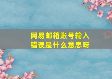 网易邮箱账号输入错误是什么意思呀