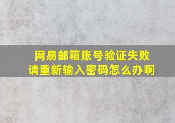 网易邮箱账号验证失败请重新输入密码怎么办啊