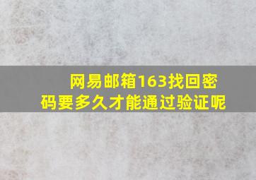 网易邮箱163找回密码要多久才能通过验证呢