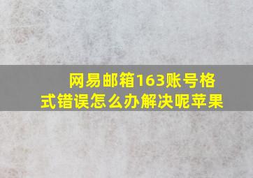 网易邮箱163账号格式错误怎么办解决呢苹果