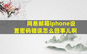 网易邮箱iphone设置密码错误怎么回事儿啊