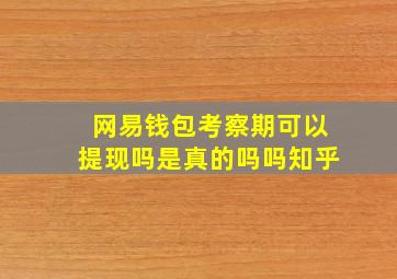 网易钱包考察期可以提现吗是真的吗吗知乎