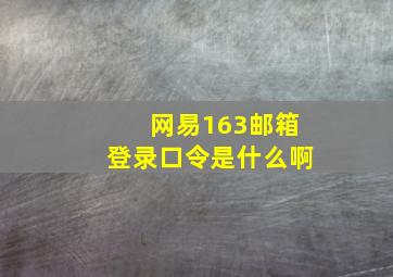 网易163邮箱登录口令是什么啊