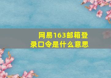 网易163邮箱登录口令是什么意思