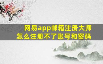 网易app邮箱注册大师怎么注册不了账号和密码