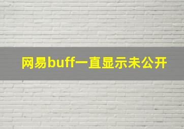 网易buff一直显示未公开