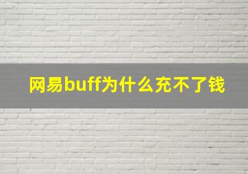 网易buff为什么充不了钱