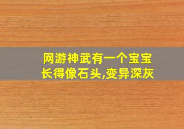 网游神武有一个宝宝长得像石头,变异深灰