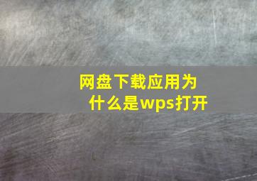 网盘下载应用为什么是wps打开