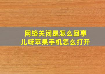 网络关闭是怎么回事儿呀苹果手机怎么打开