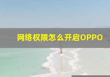 网络权限怎么开启OPPO