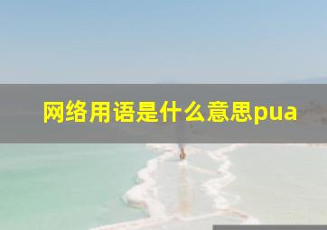 网络用语是什么意思pua