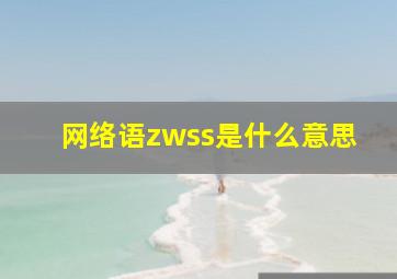 网络语zwss是什么意思