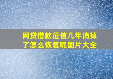 网贷借款征信几年消掉了怎么恢复呢图片大全