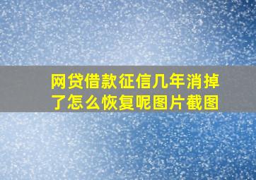 网贷借款征信几年消掉了怎么恢复呢图片截图