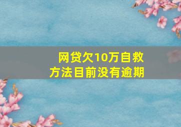 网贷欠10万自救方法目前没有逾期