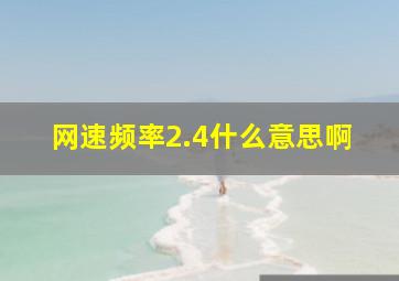 网速频率2.4什么意思啊