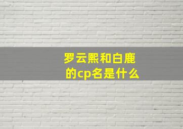 罗云熙和白鹿的cp名是什么