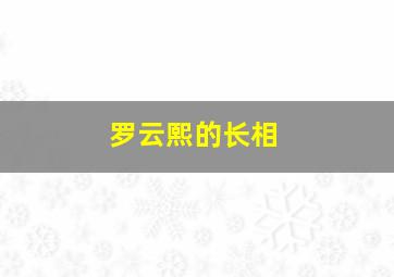 罗云熙的长相