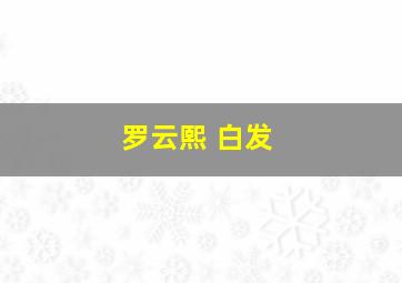 罗云熙 白发