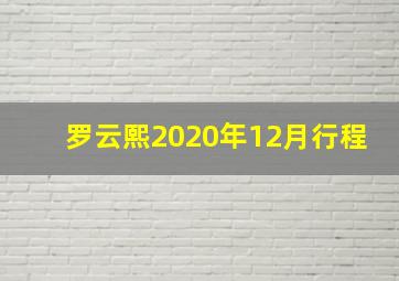 罗云熙2020年12月行程