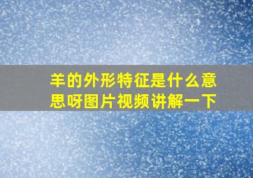 羊的外形特征是什么意思呀图片视频讲解一下