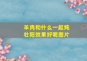 羊肉和什么一起炖壮阳效果好呢图片