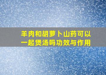 羊肉和胡萝卜山药可以一起煲汤吗功效与作用