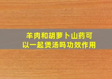 羊肉和胡萝卜山药可以一起煲汤吗功效作用