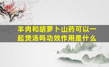 羊肉和胡萝卜山药可以一起煲汤吗功效作用是什么