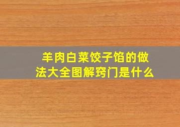 羊肉白菜饺子馅的做法大全图解窍门是什么