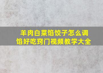 羊肉白菜馅饺子怎么调馅好吃窍门视频教学大全