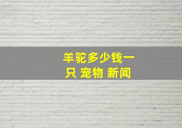 羊驼多少钱一只 宠物 新闻