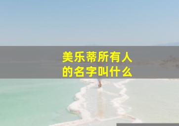 美乐蒂所有人的名字叫什么