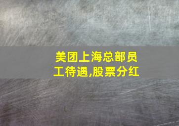 美团上海总部员工待遇,股票分红