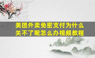 美团外卖免密支付为什么关不了呢怎么办视频教程