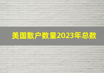 美国散户数量2023年总数