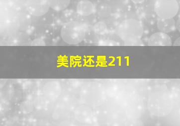 美院还是211